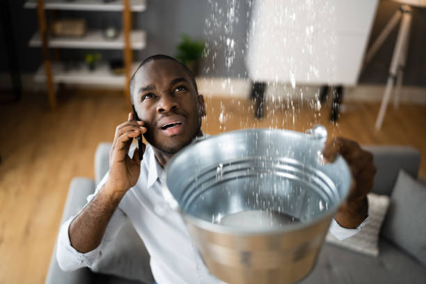  Martsville, IN Water damage restoration Pros