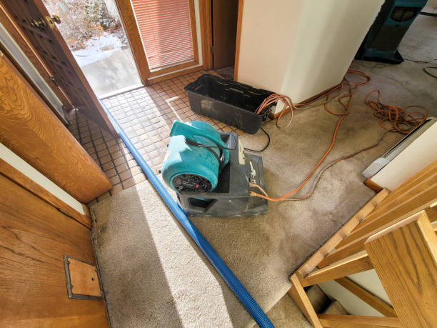 Reliable IN Water damage restoration Solutions