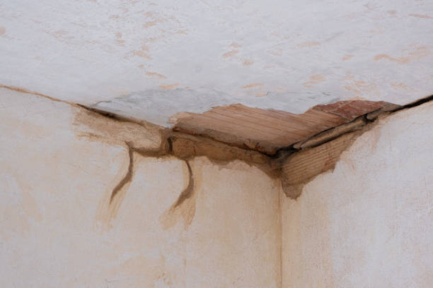 Best Flood restoration services  in Martsville, IN