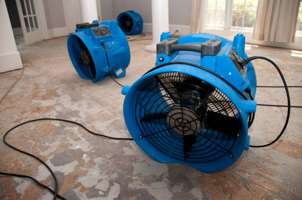 Best Local water damage restoration  in Martsville, IN